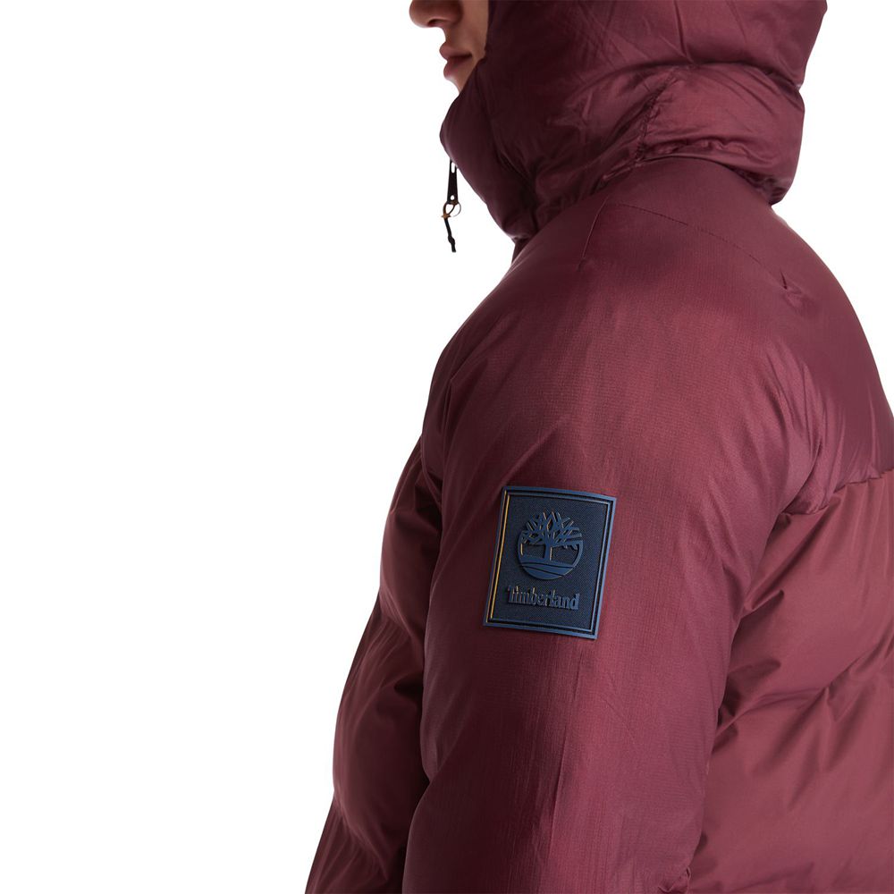 Timberland Μπουφαν Ανδρικα Μπορντο - Neo Summit Hooded Χειμώνας - Greece 9674581-BL